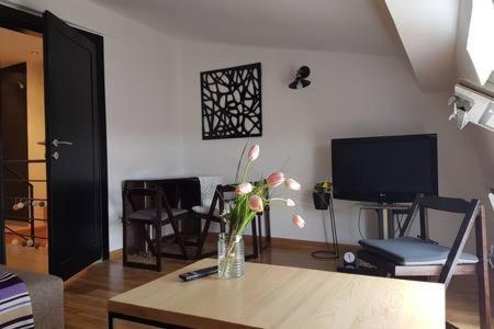 Ferienwohnung Svetogorska Tri Belgrad Exterior foto